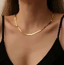 1000448048.webp